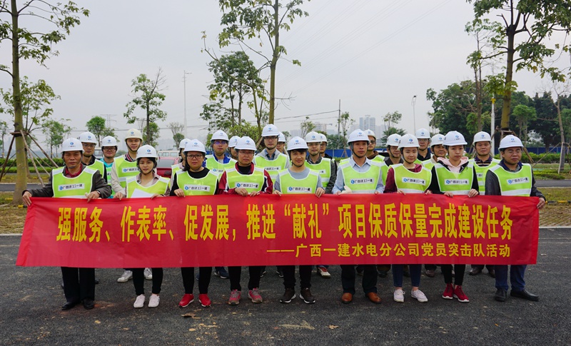 黨員突擊隊助力邕江北岸亮化工程建設(shè)_副本.jpg